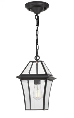 TFS 20 PENDANT 25wE27max L:210 H:300 - IP43 BLACK/CLEAR ROD:290mm + CHAIN:1000