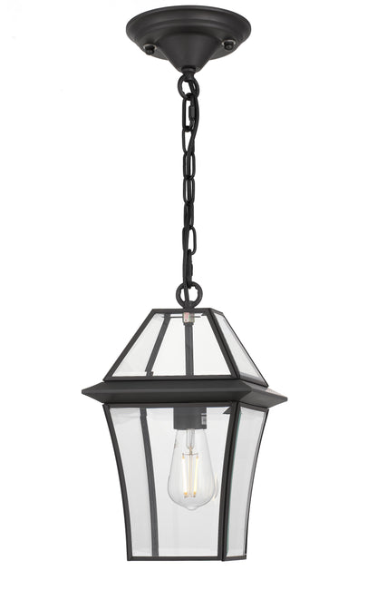 TFS 20 PENDANT 25wE27max L:210 H:300 - IP43 BLACK/CLEAR ROD:290mm + CHAIN:1000