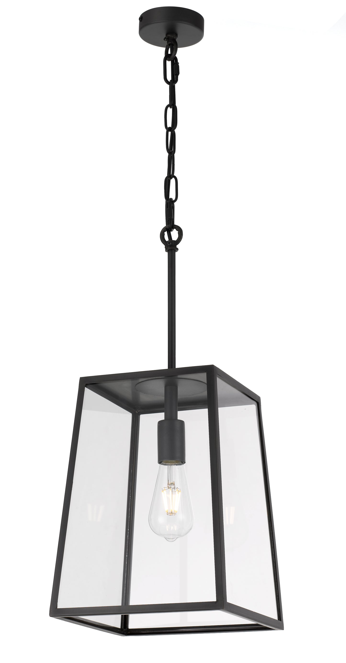 TFS 25 PENDANT 25wE27max L:250 H:335 - BLACK/CLEAR ROD:210mm + CHAIN:1000 IP43