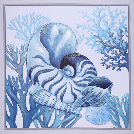 Nautiluc Shell Hand Painting Picture