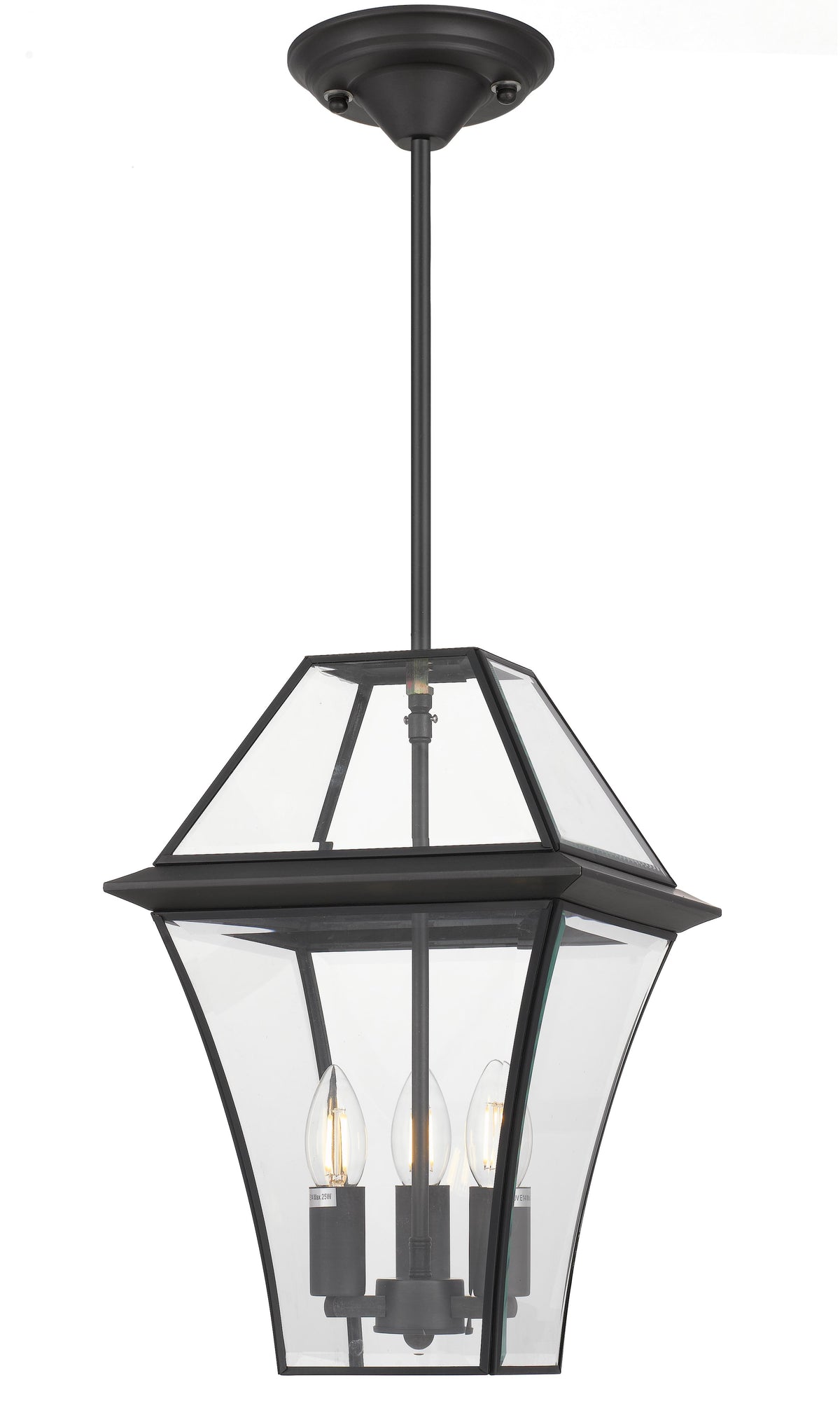 TFS 27 PENDANT 25wE14max L:275 H:400 - IP43 BLACK/CLEAR ROD:300mm + CHAIN:1000