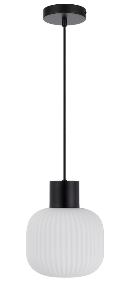 TFS 20 PENDANT 25wE27max D:200 H:180 TEX:2m BLACK MATT/OPAL MATT