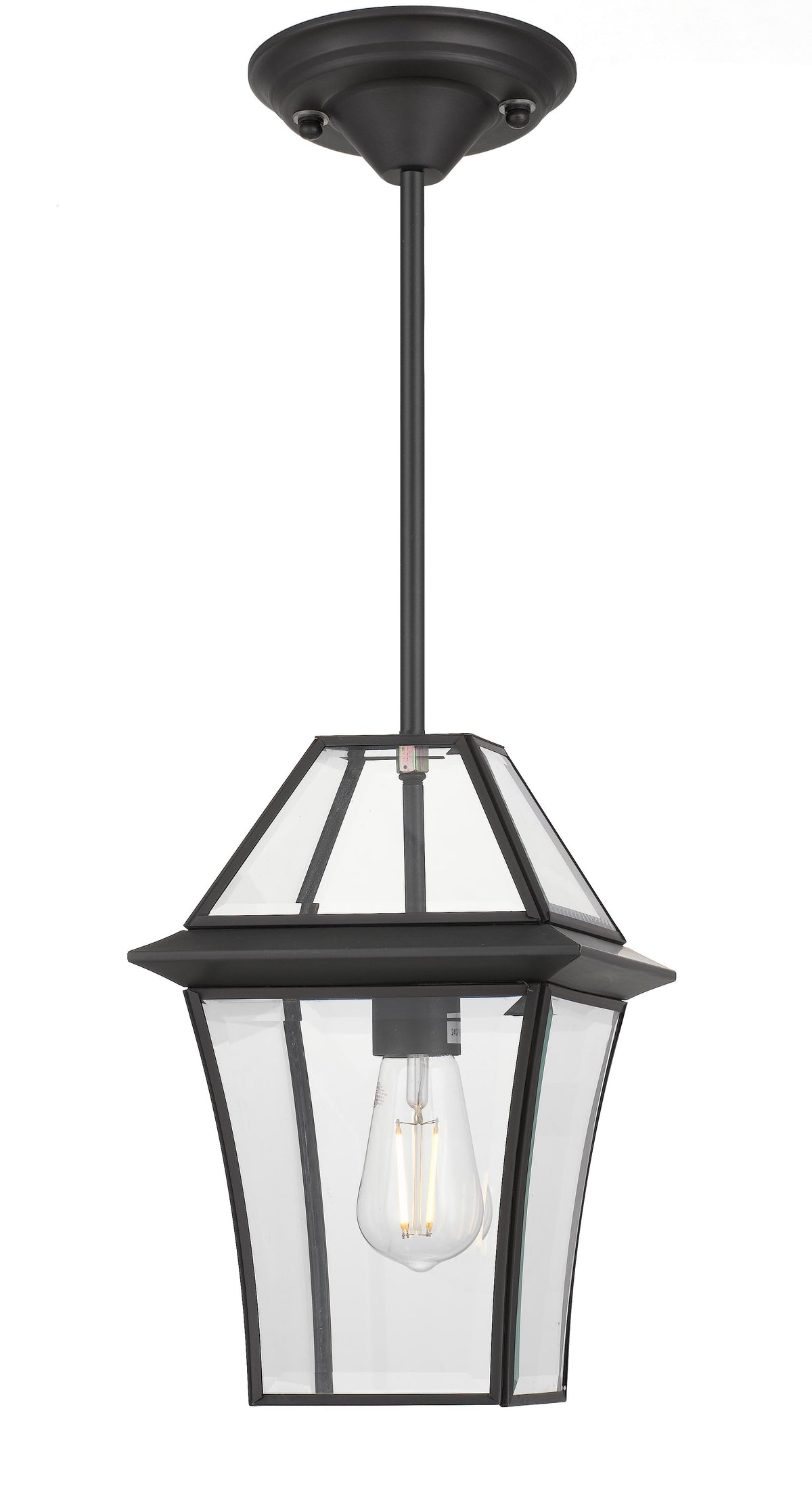TFS 20 PENDANT 25wE27max L:210 H:300 - IP43 BLACK/CLEAR ROD:290mm + CHAIN:1000