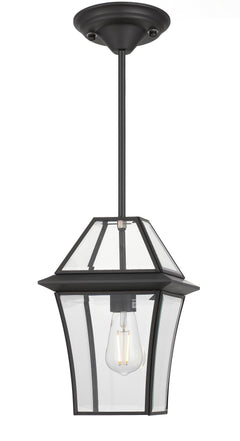 TFS 20 PENDANT 25wE27max L:210 H:300 - IP43 BLACK/CLEAR ROD:290mm + CHAIN:1000