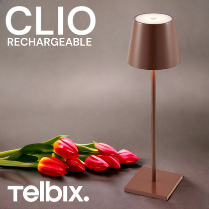 TFS RECHARGEABLE TABLE LAMP 3wLED D108 H380 IP54 1.5M 3000 K 300LM 2X2000mah BROWN SATIN