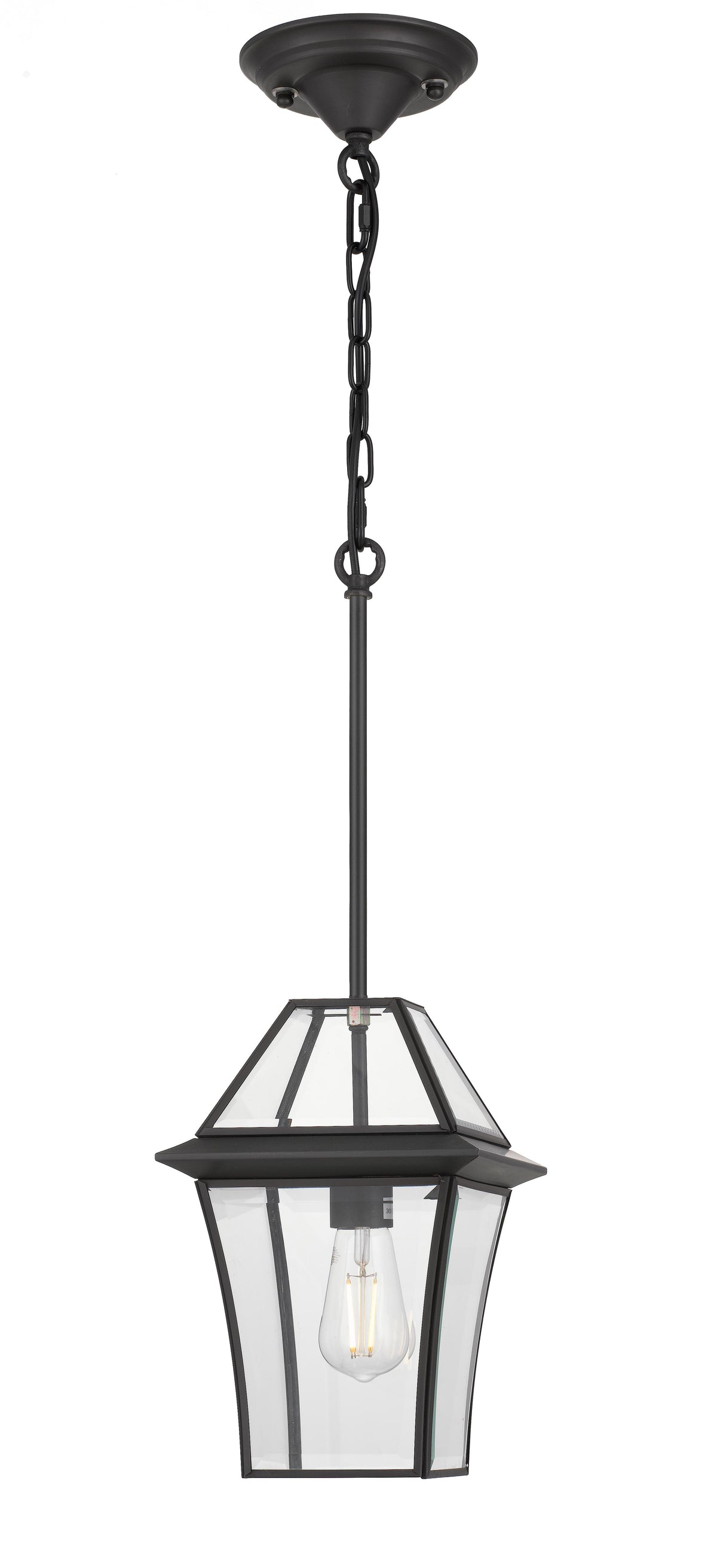 TFS 20 PENDANT 25wE27max L:210 H:300 - IP43 BLACK/CLEAR ROD:290mm + CHAIN:1000