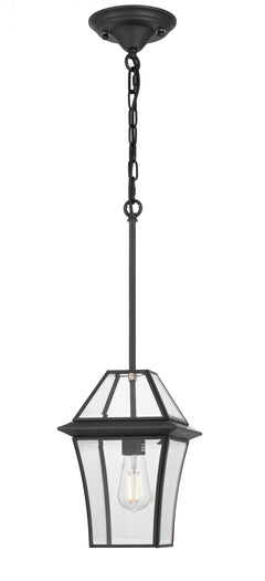 TFS 20 PENDANT 25wE27max L:210 H:300 - IP43 BLACK/CLEAR ROD:290mm + CHAIN:1000