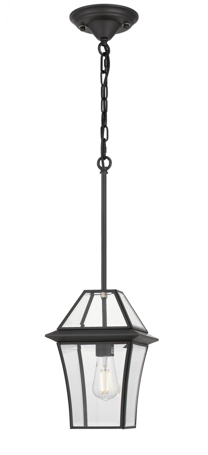 TFS 20 PENDANT 25wE27max L:210 H:300 - IP43 BLACK/CLEAR ROD:290mm + CHAIN:1000