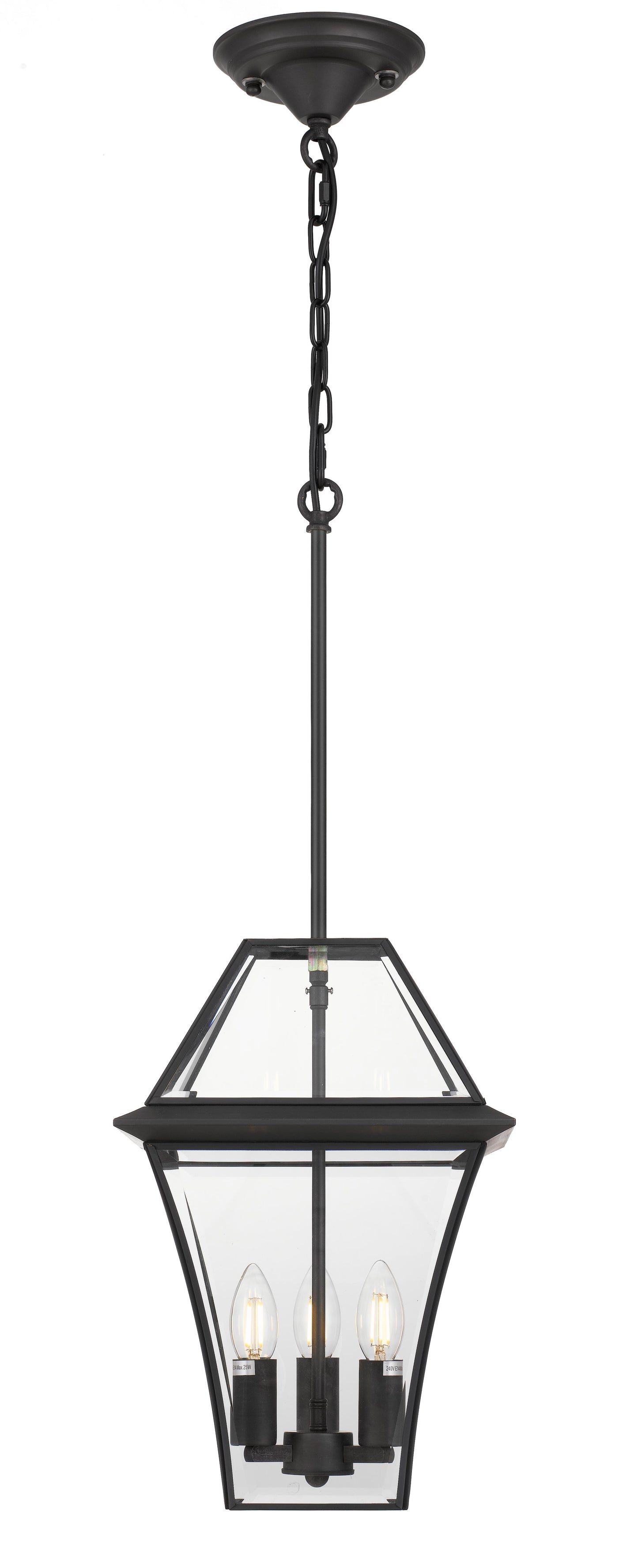 TFS 27 PENDANT 25wE14max L:275 H:400 - IP43 BLACK/CLEAR ROD:300mm + CHAIN:1000