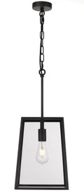 TFS 25 PENDANT 25wE27max L:250 H:335 - BLACK/CLEAR ROD:210mm + CHAIN:1000 IP43