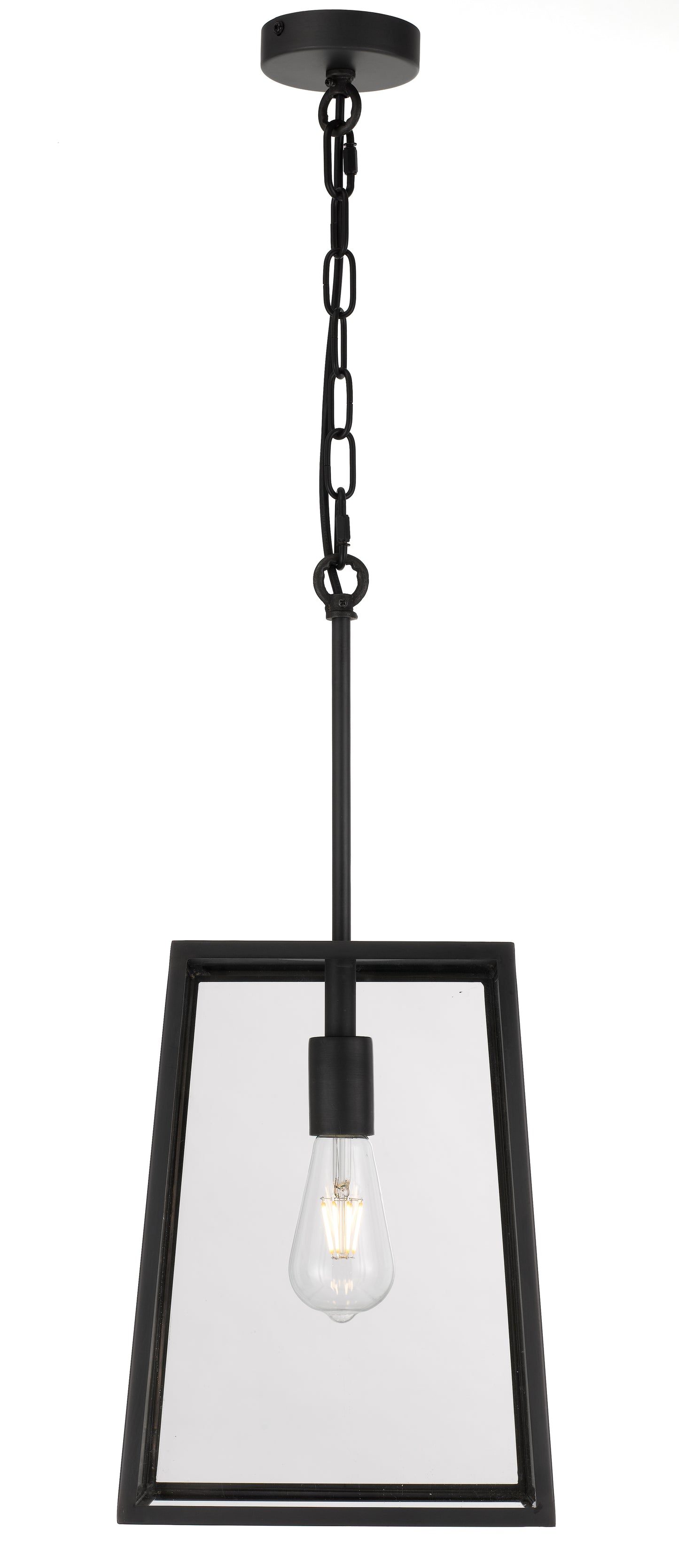 TFS 25 PENDANT 25wE27max L:250 H:335 - BLACK/CLEAR ROD:210mm + CHAIN:1000 IP43