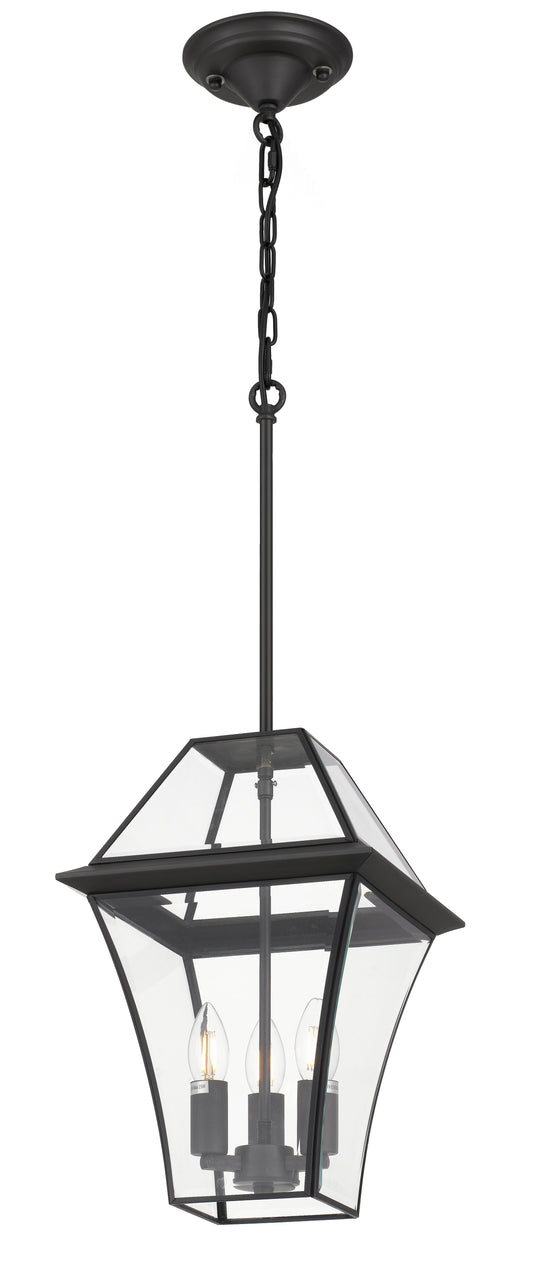 TFS 27 PENDANT 25wE14max L:275 H:400 - IP43 BLACK/CLEAR ROD:300mm + CHAIN:1000