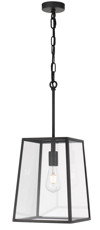 TFS 25 PENDANT 25wE27max L:250 H:335 - BLACK/CLEAR ROD:210mm + CHAIN:1000 IP43