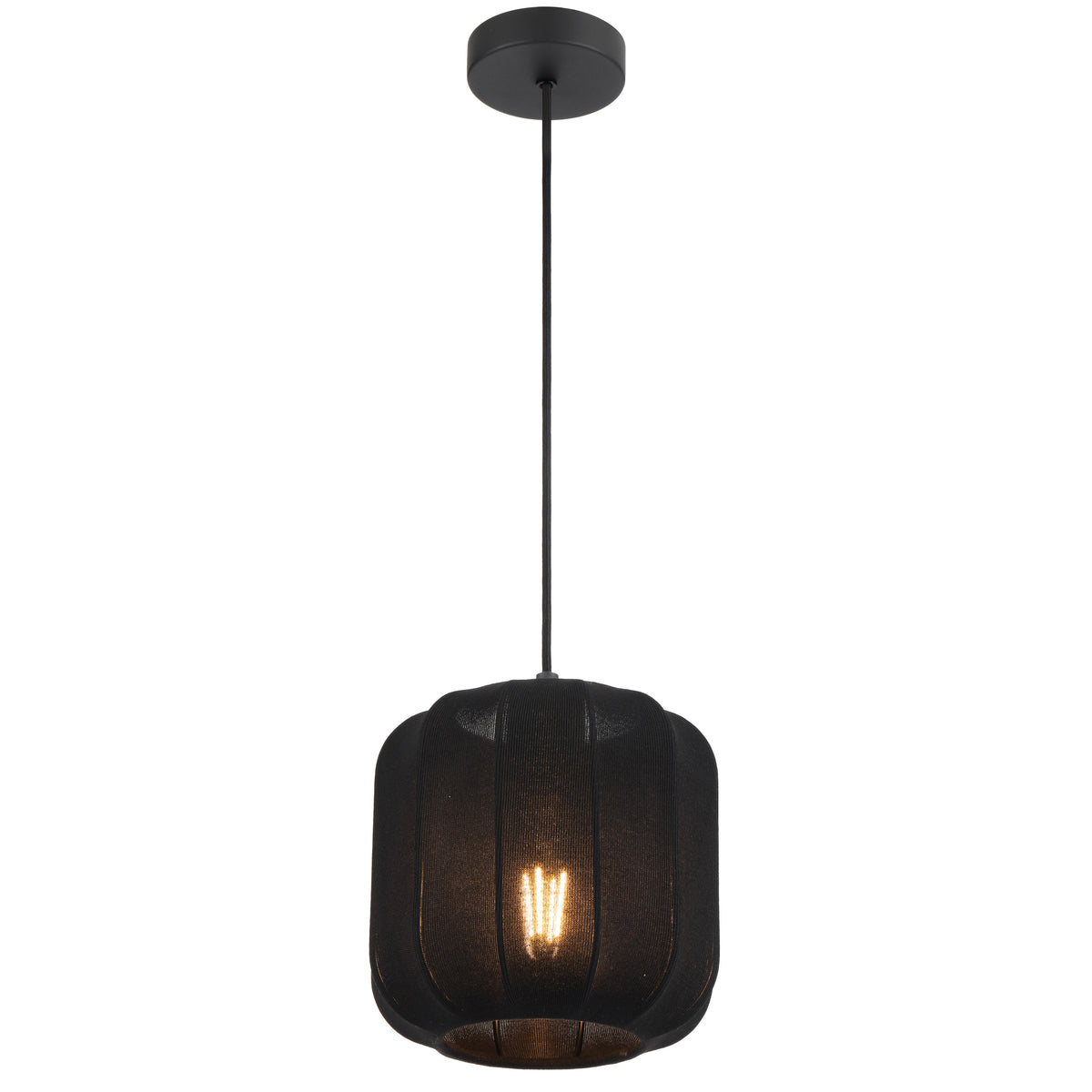 TFS 20 PENDANT 25wE27max D200 H210 cab 2m BLACK