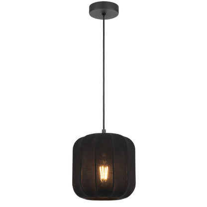 TFS 20 PENDANT 25wE27max D200 H210 cab 2m BLACK