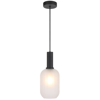 TFS 13CM PENDANT 25wE27max D140 H315 cab 2m BLACK / FROST GLASS