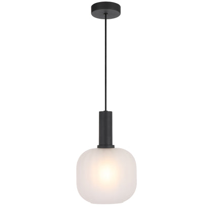 TFS 20CM PENDANT 25wE27max D200 H290 cab 2m BLACK / FROST GLASS