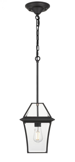 TFS 20 PENDANT 25wE27max L:210 H:300 - IP43 BLACK/CLEAR ROD:290mm + CHAIN:1000
