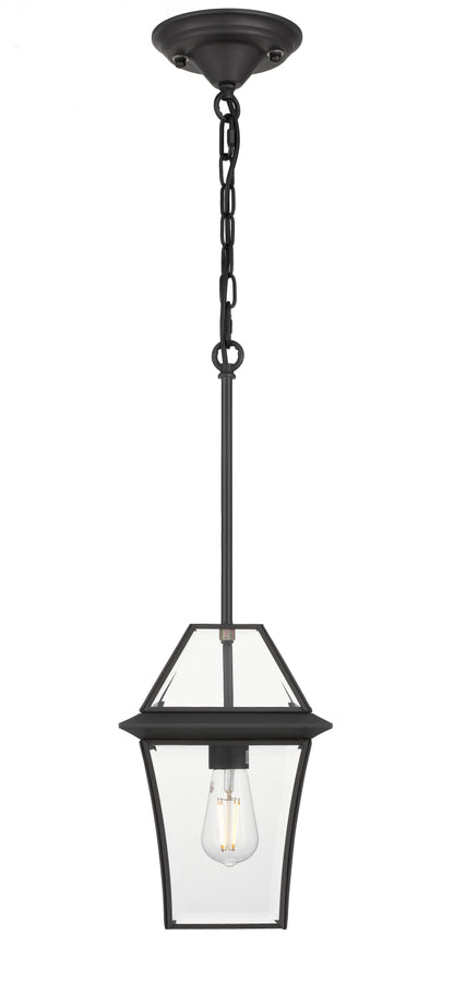 TFS 20 PENDANT 25wE27max L:210 H:300 - IP43 BLACK/CLEAR ROD:290mm + CHAIN:1000