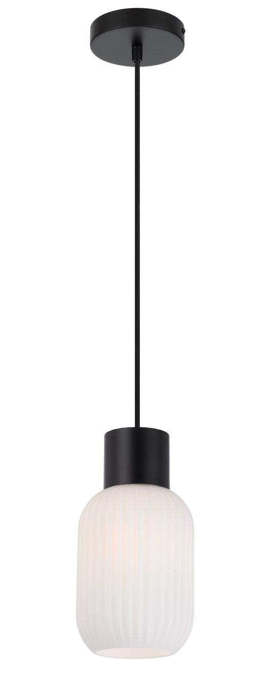 TFS 14 PENDANT 25wE27max D:140 H:205 TEX:2m BLACK MATT/OPAL MATT
