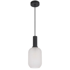 TFS 13CM PENDANT 25wE27max D140 H315 cab 2m BLACK / FROST GLASS