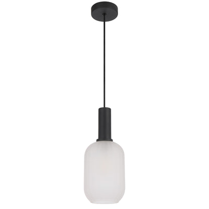 TFS 13CM PENDANT 25wE27max D140 H315 cab 2m BLACK / FROST GLASS
