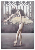 Ballerina Hand Painting Picture with Tulle Dress