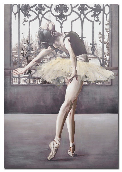 Ballerina Hand Painting Picture with Tulle Dress