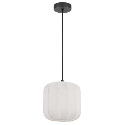 TFS 20 PENDANT 25wE27max D200 H210 cab 2m WHITE