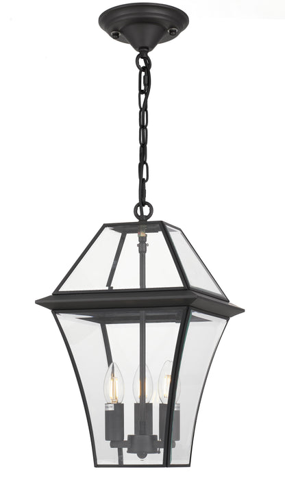 TFS 27 PENDANT 25wE14max L:275 H:400 - IP43 BLACK/CLEAR ROD:300mm + CHAIN:1000