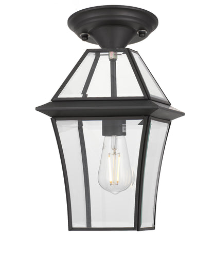 TFS 20 PENDANT 25wE27max L:210 H:300 - IP43 BLACK/CLEAR ROD:290mm + CHAIN:1000