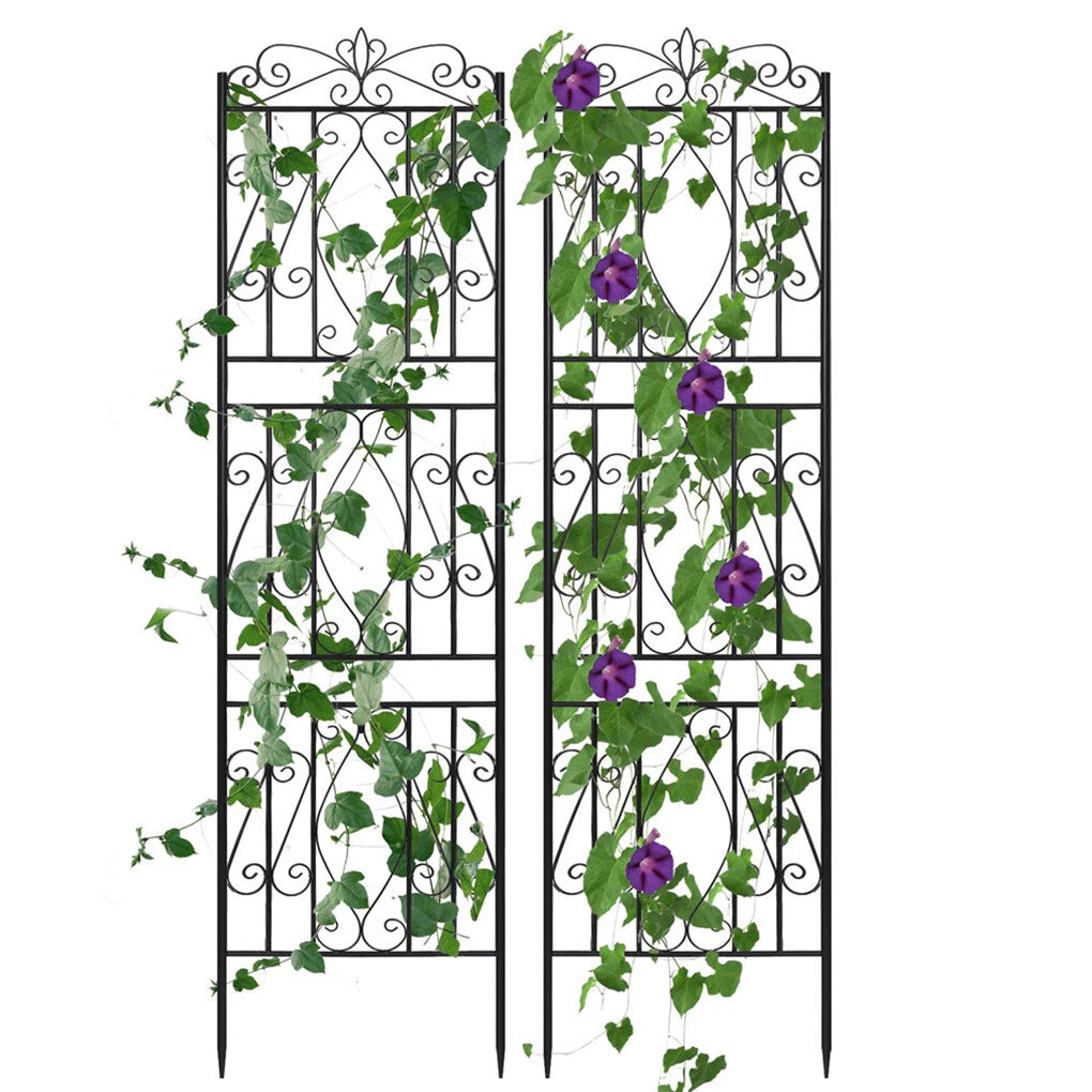 Set of 2 Tall Decorative Iron Trellises for Climbing Plants & Garden Walls