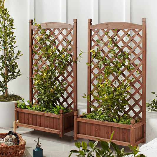large-raised-garden-bed-planter-box-with-trellis-flower-climbing-indoor-outdoor