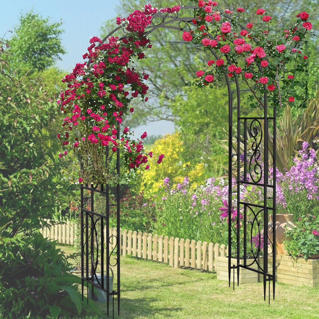 Rust-Proof Iron Arbor Stand for Garden Vines and Flowers