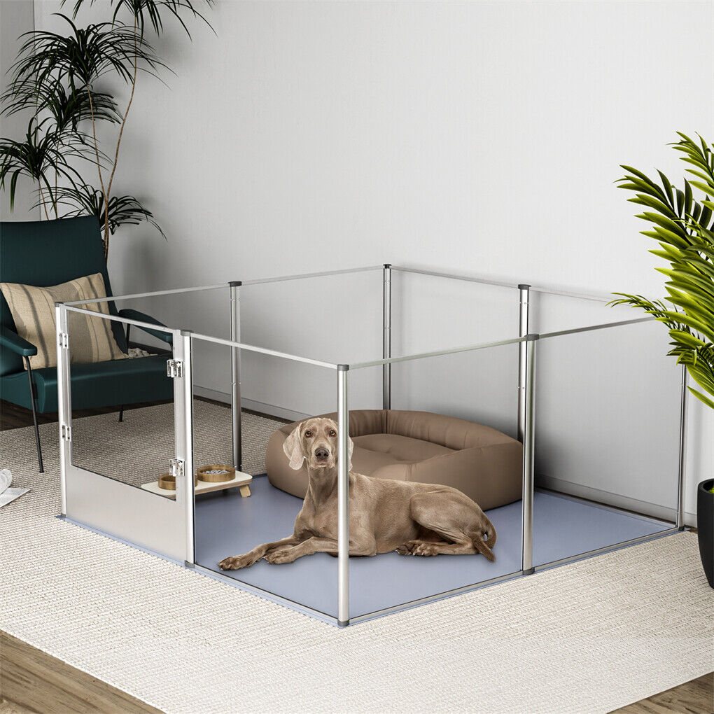 81cm High Clear Pet Playpen with Acrylic Panels for Dogs