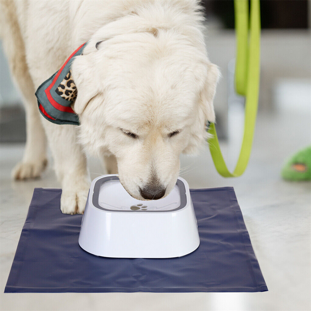 non-spill-pet-dog-water-bowl-detachable-cat-slow-drinking-bowl-w-waterproof-mat