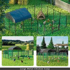 XL Walk-In Chicken Cage Australia
