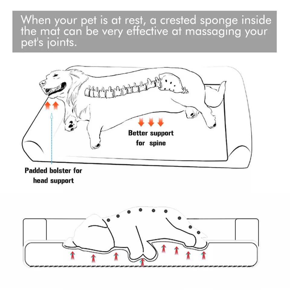 Oversized Cooling Elevated Dog Bed with Bolster Lounger