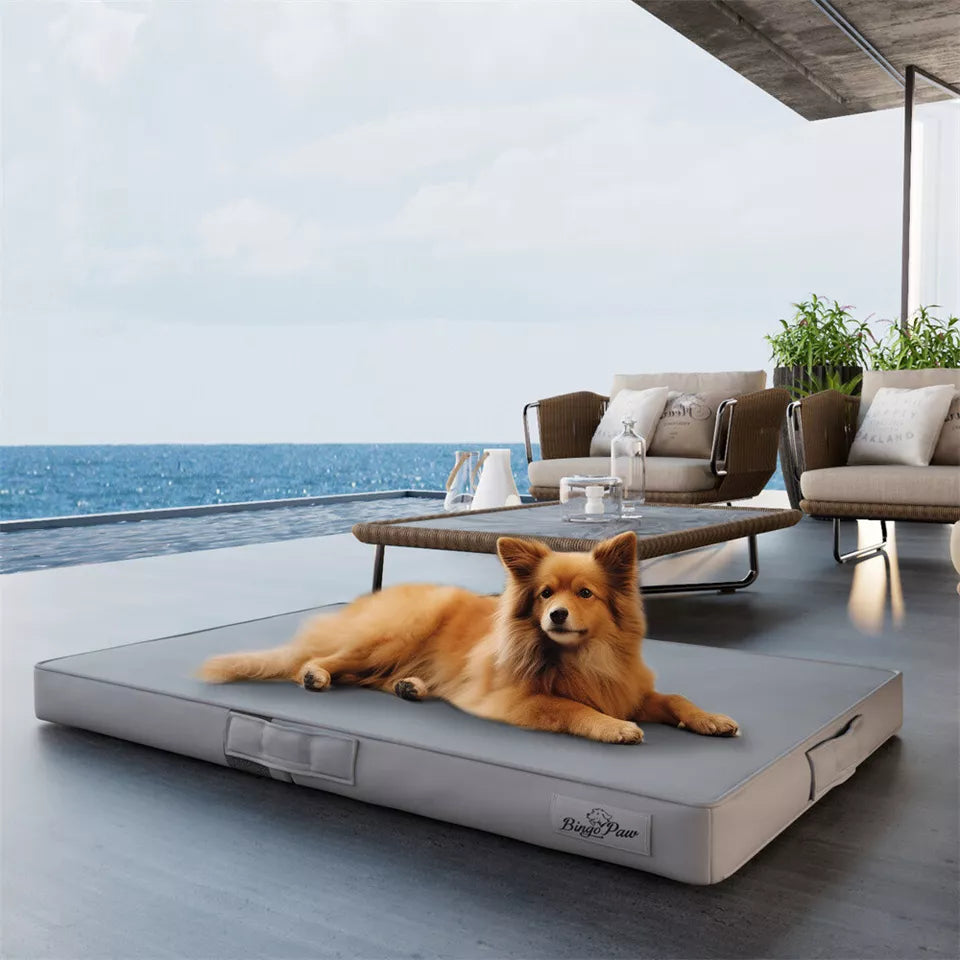 Large 3D Orthopedic Dog Bed with Microfiber Leather(grey)