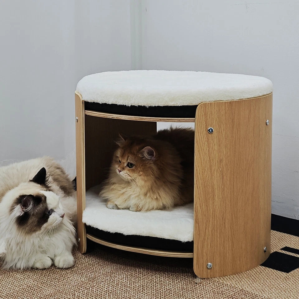2 Tier Elevated Cat Bed for Indoor Cats with Soft Plush Mats