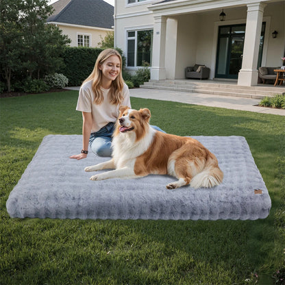 Comfortable Pet Bed with Removable Cover and Anti Skid Base(Medium)