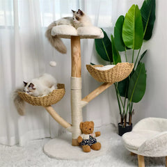 Stylish Cat Tree with 3 Branches Australia