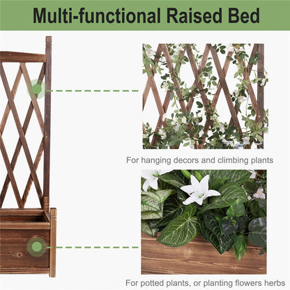 large-raised-garden-bed-planter-box-with-trellis-flower-climbing-indoor-outdoor