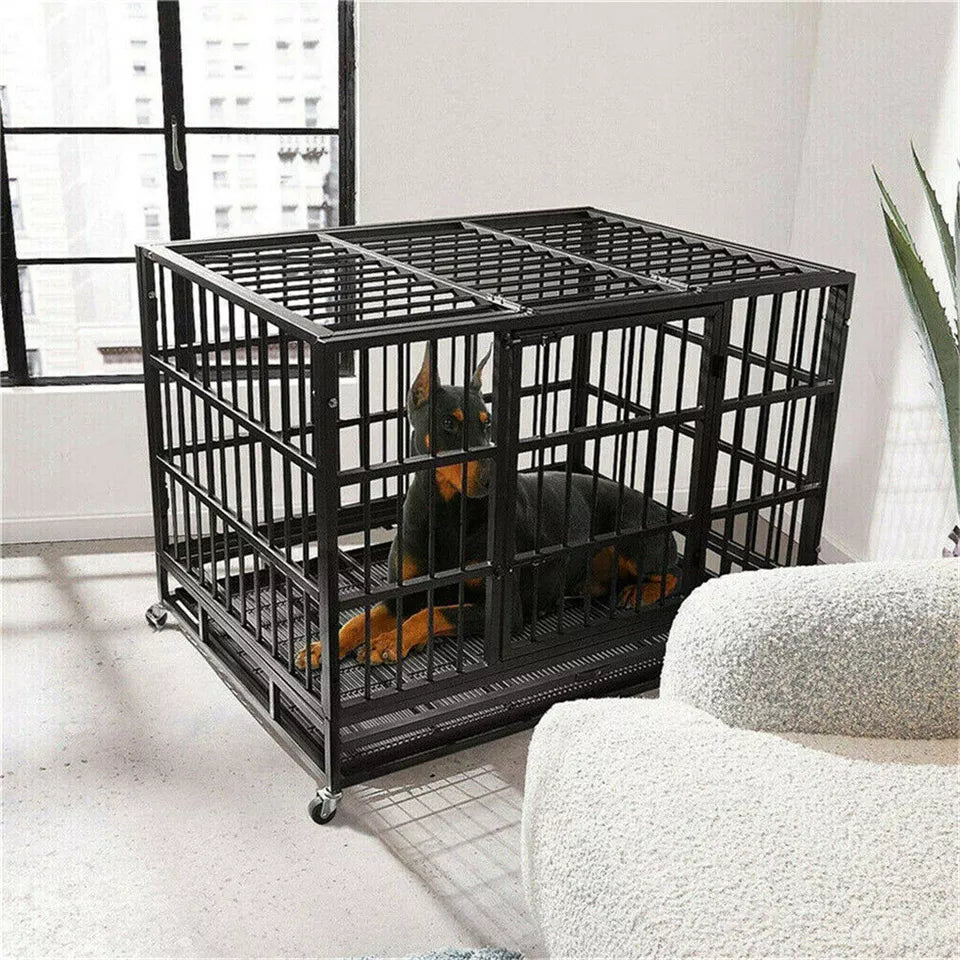 Durable dog cage with lock – Shop now in Australia