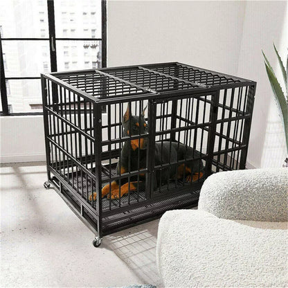 Durable dog cage with lock – Shop now in Australia