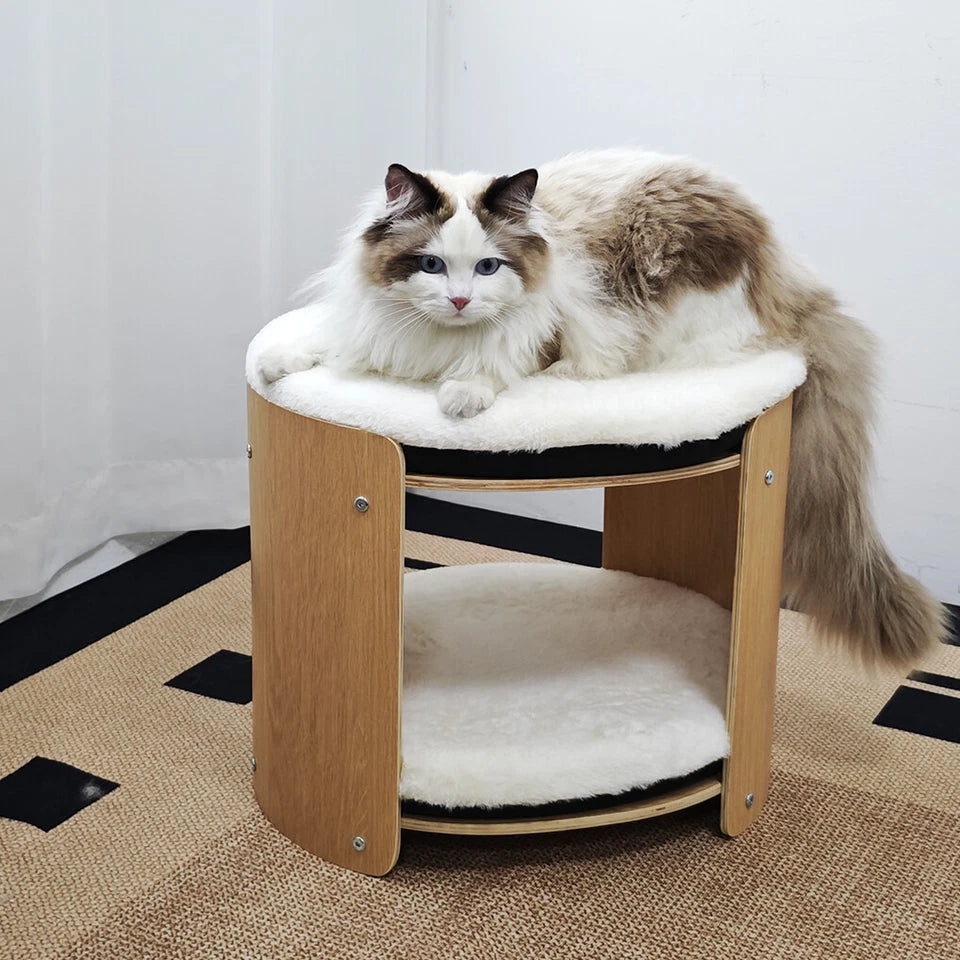 2 Tier Elevated Cat Bed for Indoor Cats with Soft Plush Mats