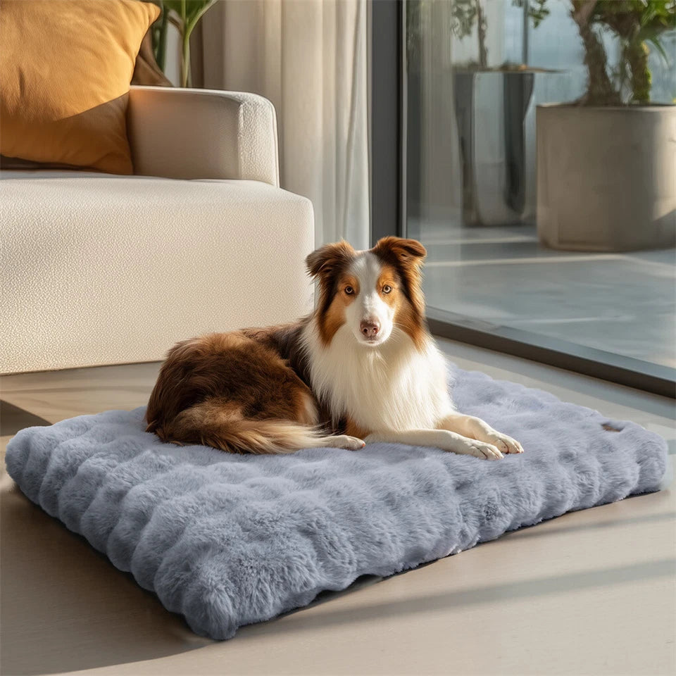 Comfortable Pet Bed with Removable Cover and Anti Skid Base(large)