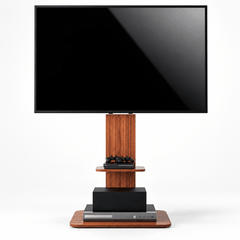 Wood and black metal TV floor stand holding a TV in a lounge room with a record player on the base, plants and a bookcase